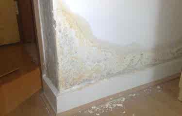 Почему стена после ремонта сыреет и плесневеет?